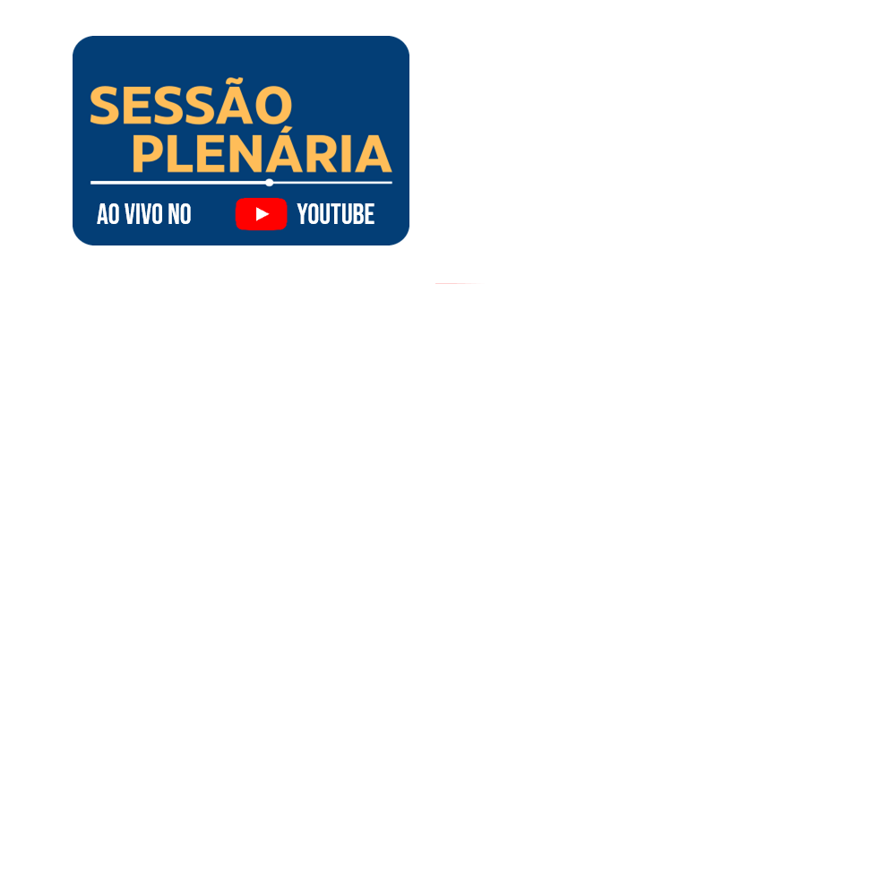 Sessão plenária